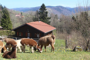 Chalet Les Bouleaux, la montagne des lamas